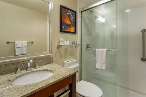 布鲁克林贝斯维斯特格雷戈里酒店的一间带水槽、淋浴和卫生间的浴室