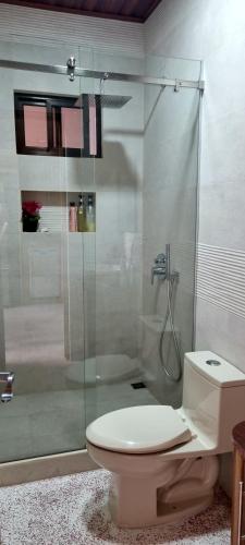 阿拉胡埃拉La Torre Azul的一间带卫生间和玻璃淋浴间的浴室