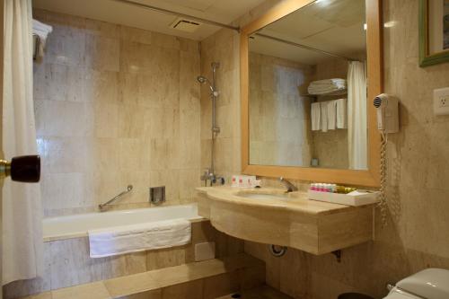 桃园市住都大飯店的一间带水槽、浴缸和镜子的浴室