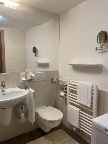 德累斯顿Maisonette-Apartment An der Frauenkirche的浴室配有白色卫生间和盥洗盆。
