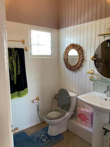 IvatoVilla Eden Wood的一间带卫生间、水槽和镜子的浴室