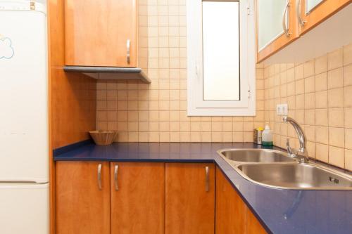 巴塞罗那阿普图卡特公寓的一个带水槽和水槽的小厨房