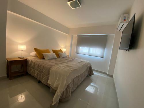 萨尔塔HAUS APARTAMENTOS的卧室配有一张床铺,墙上配有电视