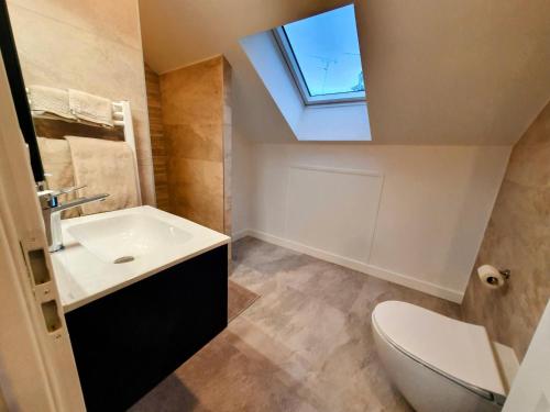 兰斯Appartement Premium dans une belle demeure - Hyper centre-ville de Reims的一间带水槽和天窗的浴室