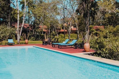 Puerto LibertadReserva Natural Iguazú - Posada Puerto Bemberg的度假村旁的游泳池,带蓝色躺椅