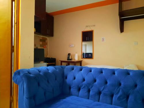 KikuyuLola's Nest along the Highway - Free Parking, Wifi, Netflix & Rooftop views的客厅里一张蓝色的沙发