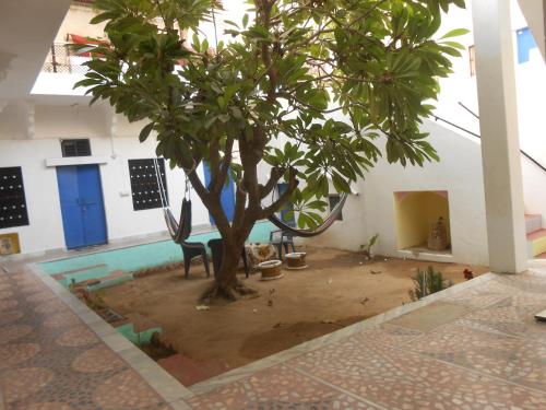 布什格尔Shiva Guest House的树在带游泳池的房间中间
