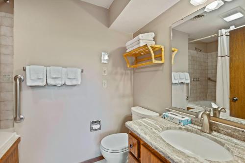 鱼溪Evergreen Hill Condominiums的一间带水槽、卫生间和镜子的浴室