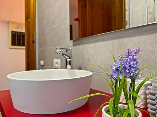 塔尔维西奥Mandi Mandi a Tarvisio的浴室设有白色浴缸和花卉柜台