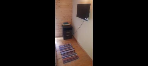 埃博森Sur tiny house的一间配有电视的房间,地板上铺有地毯