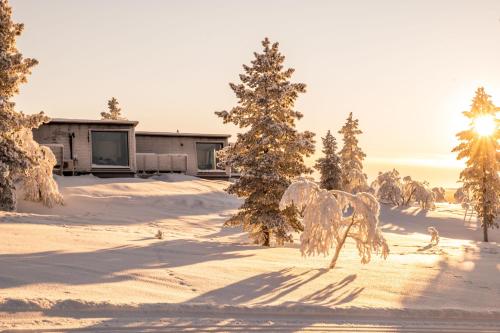 萨利色尔卡Aurora Collection的一座有房子和树木的雪地覆盖的院子