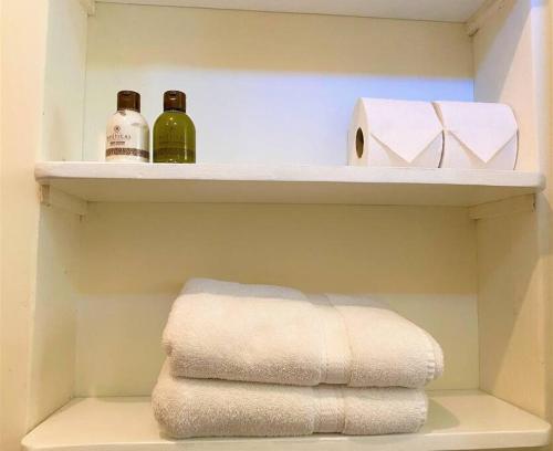 提华纳Adorable Private Studio的浴室的架子上备有2瓶毛巾