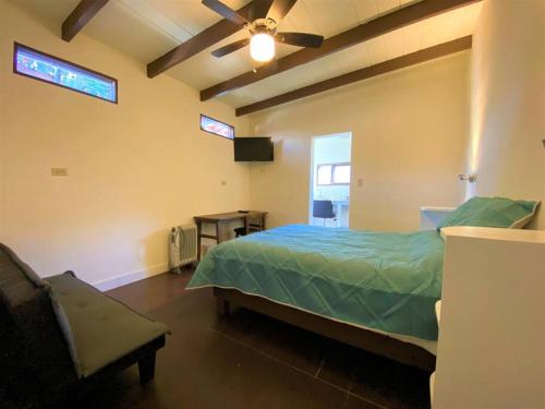 提华纳Adorable Private Studio的一间卧室配有绿色的床和吊扇