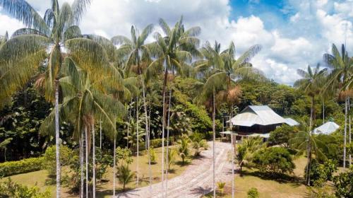莱蒂西亚Casa Finca Villa Laura的棕榈树度假村的空中景致