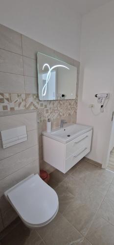 蒂米什瓦拉VISAJ Homes的一间带卫生间、水槽和镜子的浴室
