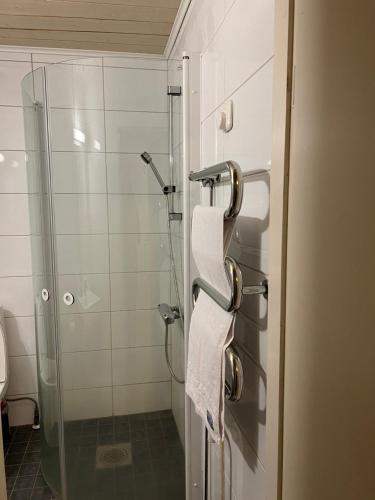科尔波DAG-15的一间带淋浴的浴室和门上的两条毛巾