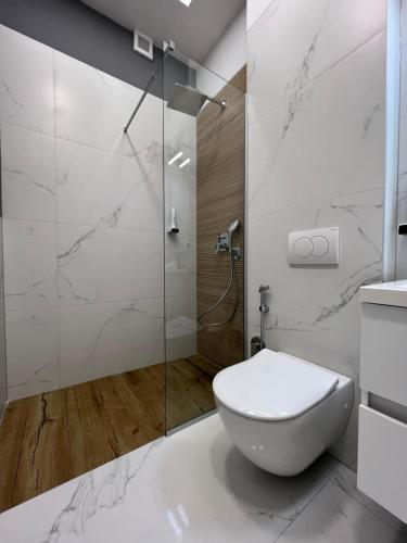 萨拉热窝OLYMPIC 84 Apartments的一间带卫生间和玻璃淋浴间的浴室