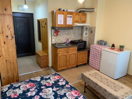 索非亚旅客之家旅馆的厨房配有木制橱柜和白色冰箱。