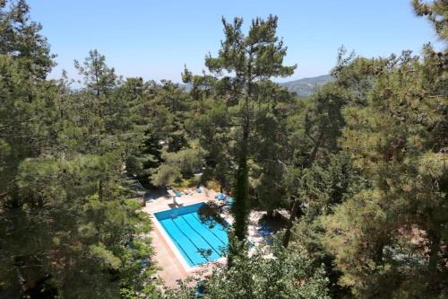 普拉特斯森林公园酒店的森林中游泳池的顶部景色