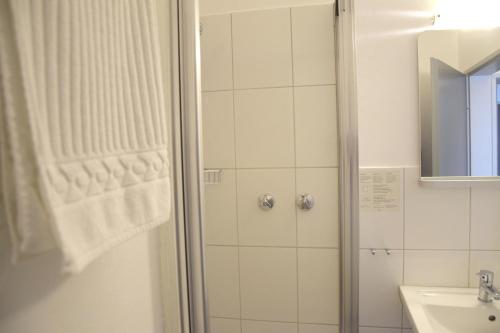 宁布雷希特Hotel im Homburger Ländchen的带淋浴和盥洗盆的浴室