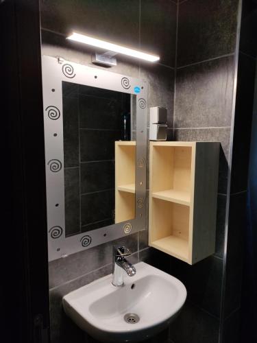 卢森堡CHEZ WL的一间带水槽和镜子的浴室