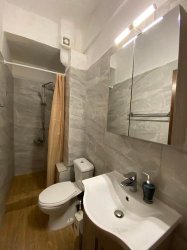 欧拉努波利斯Pansion Vasiliki的白色的浴室设有卫生间和水槽。