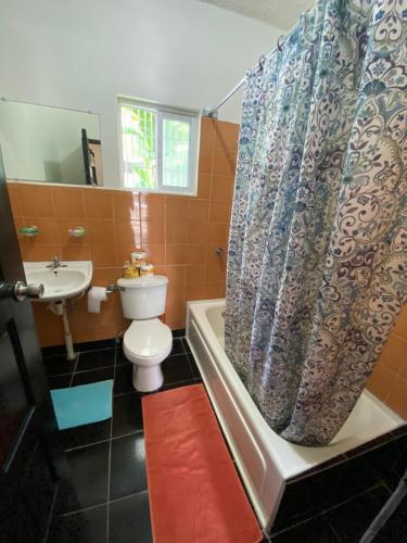 尼格瑞尔Westport Cottage的一间带卫生间和淋浴帘的浴室