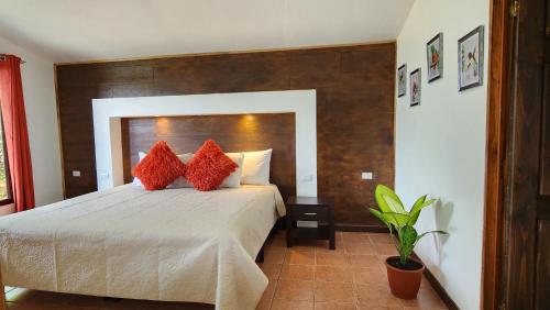 蒙泰韦尔德哥斯达黎加La Guayaba Monteverde的一间卧室配有一张带红色枕头的大床