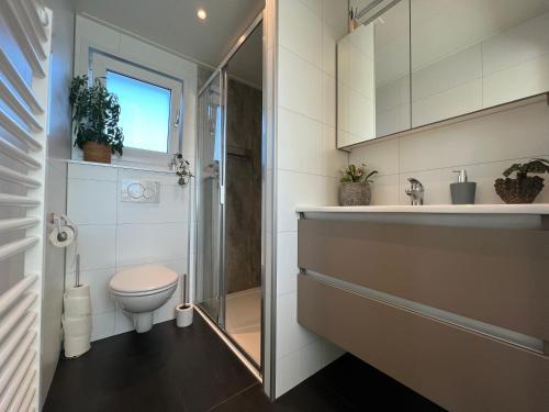 芬克芬NEW - Private Residence - on a lake near Amsterdam的浴室配有卫生间、淋浴和盥洗盆。