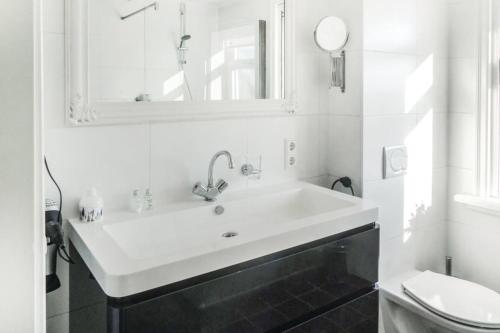 LutjewinkelLogies De Hooiberg的白色的浴室设有水槽和卫生间。