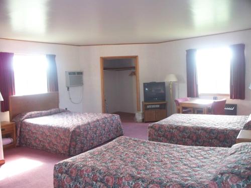 戴维斯Alpine Lodge的酒店客房设有两张床和电视。