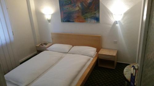 美因河畔法兰克福法兰克福佳倪酒店的小房间的一个床位,有两个灯