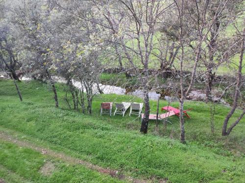 米哈雷斯Hotel Rural Finca Liceo的两把桌子和椅子,在树丛中