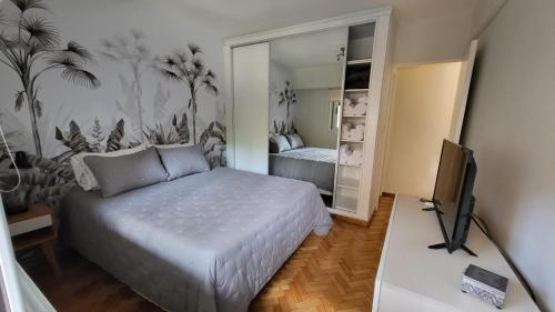 布宜诺斯艾利斯Mi corazon en San Telmo的一间卧室配有一张床、一台电视和一面镜子