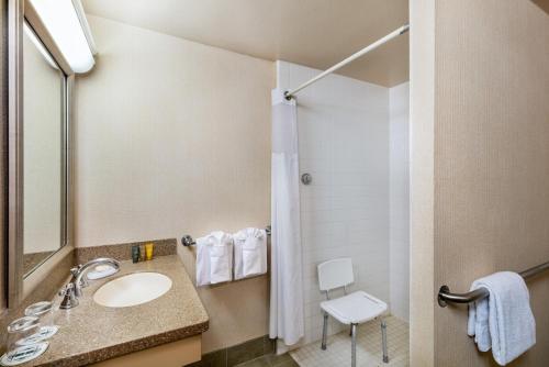 圣地亚哥汉德利圣地亚哥酒店的一间带水槽和淋浴的浴室