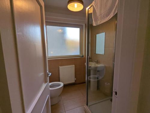 亚伦桥Two bed flat in a quiet village near Stirling的一间带卫生间和水槽的浴室