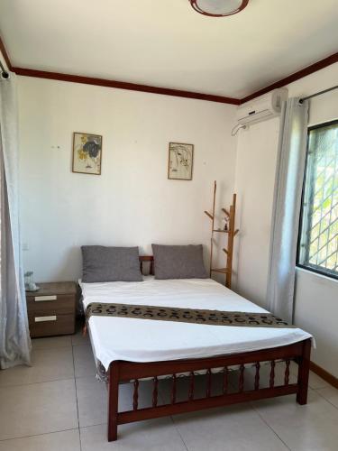 南迪Pasifika Guesthouse的一间卧室设有两张床和窗户。