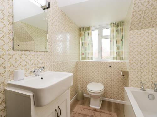 谢伯恩Lanes End的一间带水槽、卫生间和镜子的浴室