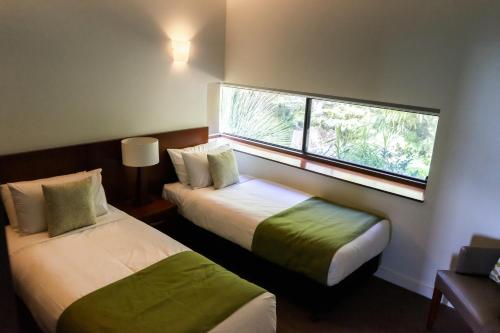 BeechmontBinna Burra Sky Lodges的酒店客房设有两张床和窗户。