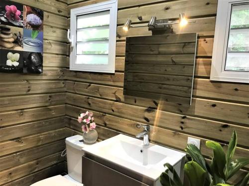 莱昂斯-达赫雷Chalet Colibri , Les ANSES d'ARLET 200 m plage的一间带木墙、卫生间和水槽的浴室