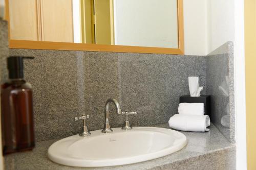堪培拉政治家酒店 的浴室水槽设有肥皂机和镜子