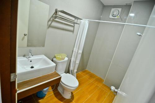帕夭Sabuy Best Hotel Phayao的一间带水槽、卫生间和淋浴的浴室