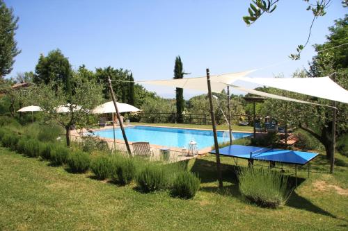 蒙特普齐亚诺Il Vecchio Milipano的花园内的游泳池,带遮阳伞