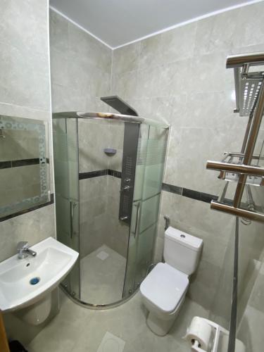 瓦迪穆萨Rose city inn的带淋浴、卫生间和盥洗盆的浴室