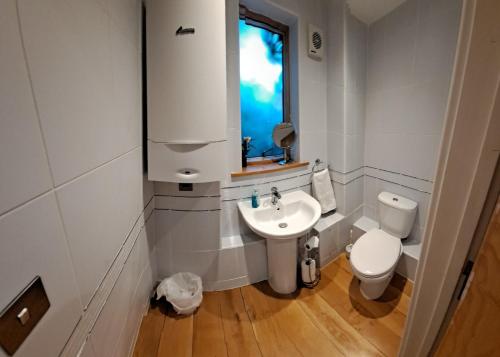 温彻斯特South House的一间带水槽和卫生间的浴室以及窗户。