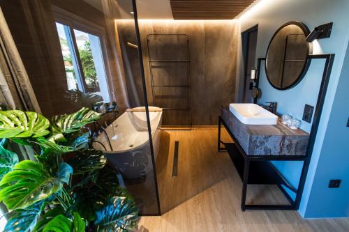 圣克鲁斯-德特内里费SC特纳利夫塔布里安特酒店的浴室设有水槽、镜子和植物