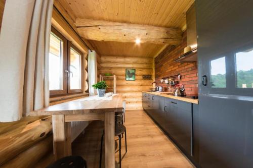 索利纳Cicho-sza!的小木屋内的厨房,设有木制天花板