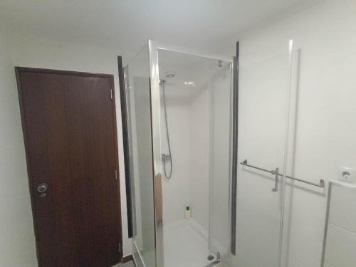 阿尔玛根Ginjals-67的带淋浴的浴室和玻璃门