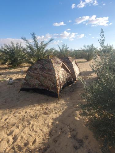 锡瓦2 pers tent的沙子中的帐篷