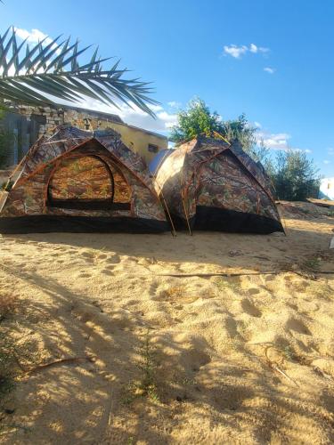 锡瓦2 pers tent的两顶帐篷,位于沙中,靠近一座建筑